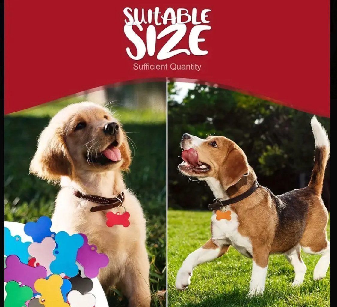 Namnbricka för hund (Medium)