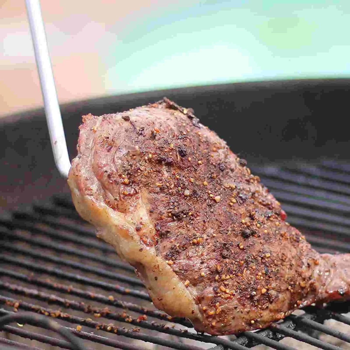 Sa2e73aa14ed6427aafea7c9200dade41E